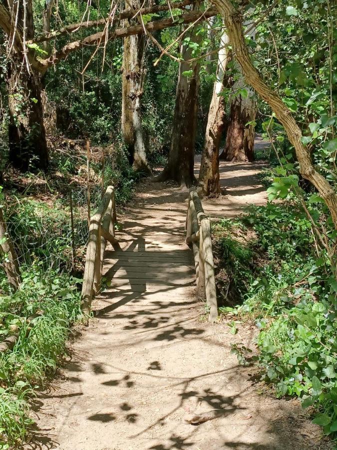 エル・ボスケ Casa Sendero Del Rioヴィラ エクステリア 写真